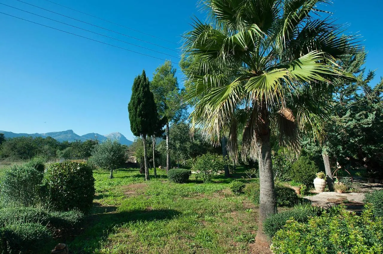 Na Catalina Amazing Villa In Pollensa Holiday home Pollenca
